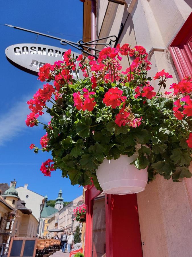 Banská Štiavnica Penzion Cosmopolitan Ii. מראה חיצוני תמונה